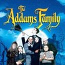 pet for you 이미지