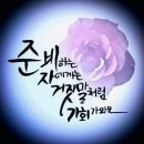 ❤🌹여자가봐도멋진여자❤🌹 이미지