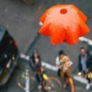 한림공업고등학교 이미지