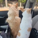 이재룡의 뭉개뭉개 유치원 이미지