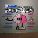 동부산정비 | 아이도 어른도 속는 순간! 국립부산과학관 골 때리는 뇌과학 후기!