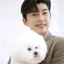 인디안광고
