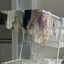 김동지 | Monthly_11월 | 내가 세탁기인가, 세탁기가 나 인가 말똥이 맞이 준비 중