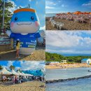 일원본-107 | 제주 이호테우해변 이호필터 페스티벌2026 제주 전국(장애인)체전