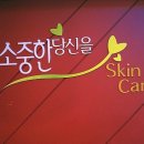 라임에스테틱 이미지