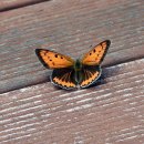 풍산공원 이미지