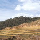 신기리 고분군 이미지