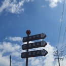 어일어린이집 이미지