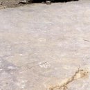 진주 가진리 새발자국과 공룡발자국 화석산지 | 진주 가진리 새발자국과 공룡발자국화석 산지