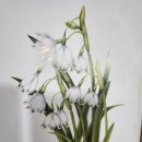 즐거운 색연필화 이미지