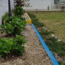 고래사냥펜션 이미지