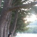 남해쁠라야 이미지