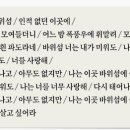 바위섬 이미지