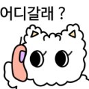 스시나나
