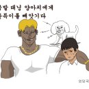 태양 아카데미 이미지