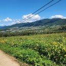 해안면사무소 이미지