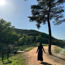 비에이치씨 가산수피아점 | 대구 근교 나들이 철쭉 명소 가산수피아 무료 개방 후기