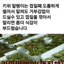 청해농장 네이버블로그