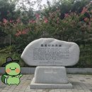 정열부 네이버블로그