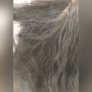 살롱드리썸