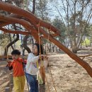 수문목장 이미지