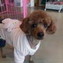 38점5도씨 이미지