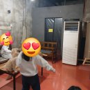 구름위의고양이 이미지