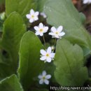 한국연합행정사사무소 이미지