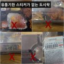 할인편의점