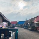 별을보는돔하우스 이미지