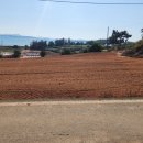 운남공인중개사사무소 이미지