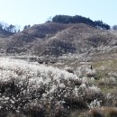 거창목장 이미지