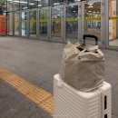리나 | 오사카 공항픽업 이걸로 고민 끝! 간사이공항 단독 픽업 샌딩 리나픽업 이용 후기
