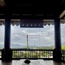 새금다정자 이미지