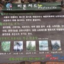 해법 행정사 사무소 네이버블로그