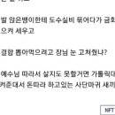 카톨릭의대