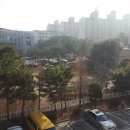 코코공인중개사사무소 이미지