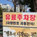 과천시민회관 대체육관 | 과천시민회관 주차요금 총정리^^(공연관람, 프로그램 수강생, 빙상장, 일반주차)