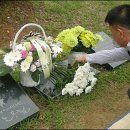 은파관광지 이미지