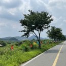 동창목장 | MILK 동창목장 진짜후기 / 세종시 아이랑 갈만한 곳