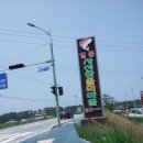사천진리물회