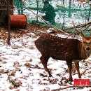 고유종농장 이미지