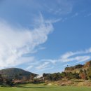 청도버섯한우식당 이미지