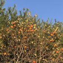 동충주주유소 화장실 | 충주 신생 캠핑장 스위스 캠핑장 후기