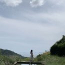 현이네농장 이미지