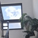 리부아르 제주여행 오션뷰 애월카페 <b>리부아르</b>