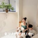 살구 스테이 이미지
