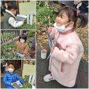 올리브나무어린이집 이미지