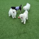 멈무유치원 이미지