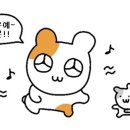 혜진우리옷 이미지